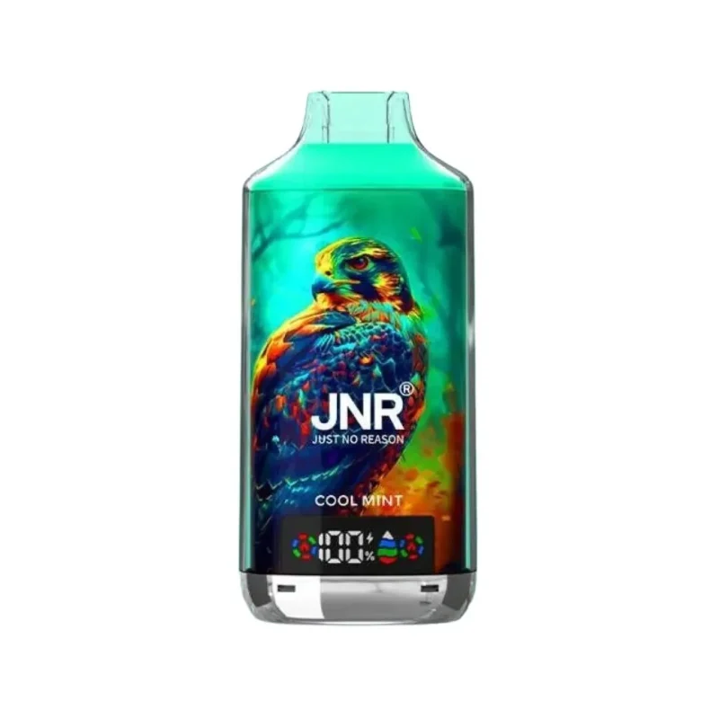 JNR Falcon X 18000 Cool Minze JNR Falcon X 18000 Cool Minze