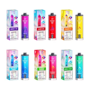 JNR Shisha Hookah Max 22000